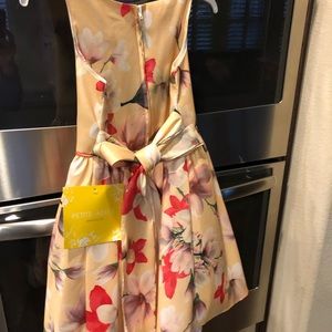 Petite Adele Dress NWT 7/8 kids